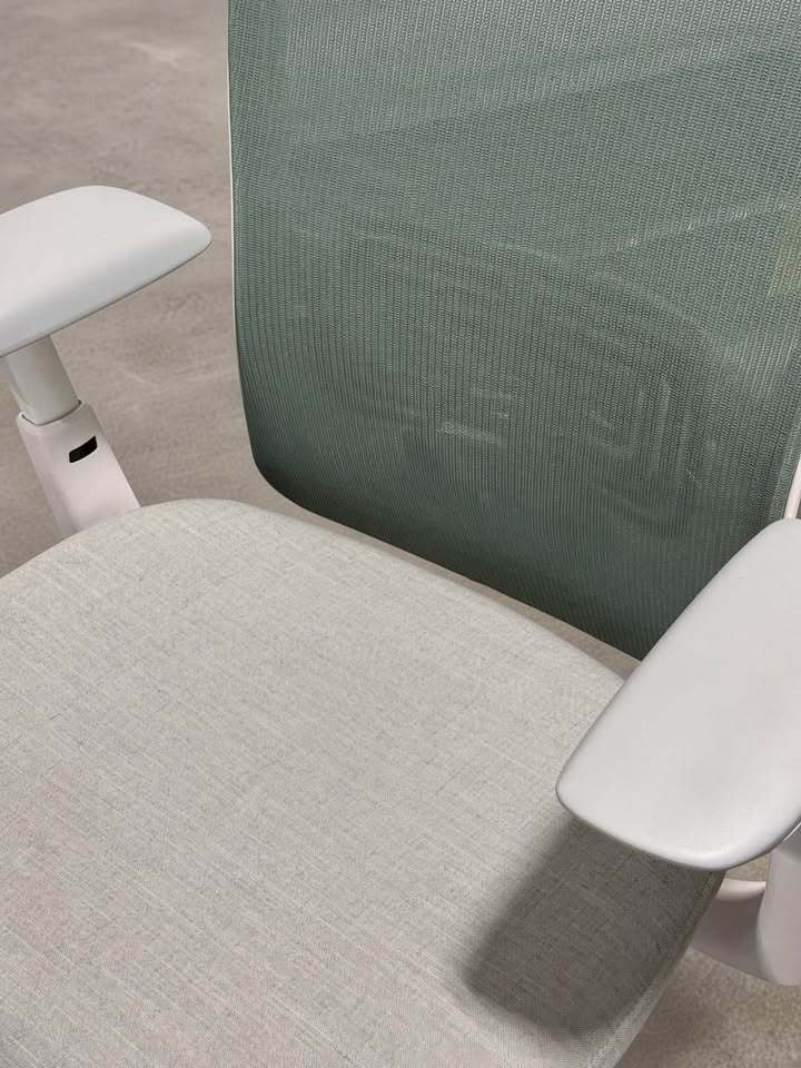 Haworth Zody Office Chair (Mesh Balsam, Lumber Adjustment, Dual Posture)