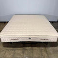 Plushbeds Luxury Bliss Hybrid Latex 12" Mattress (King, Firmness: Medium)