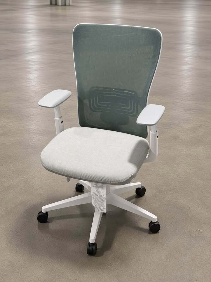 Haworth Zody Office Chair (Mesh Balsam, Lumber Adjustment, Dual Posture)